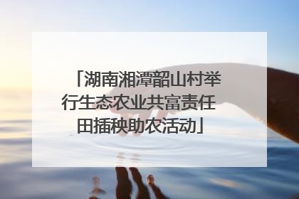 湖南湘潭韶山村举行生态农业共富责任田插秧助农活动